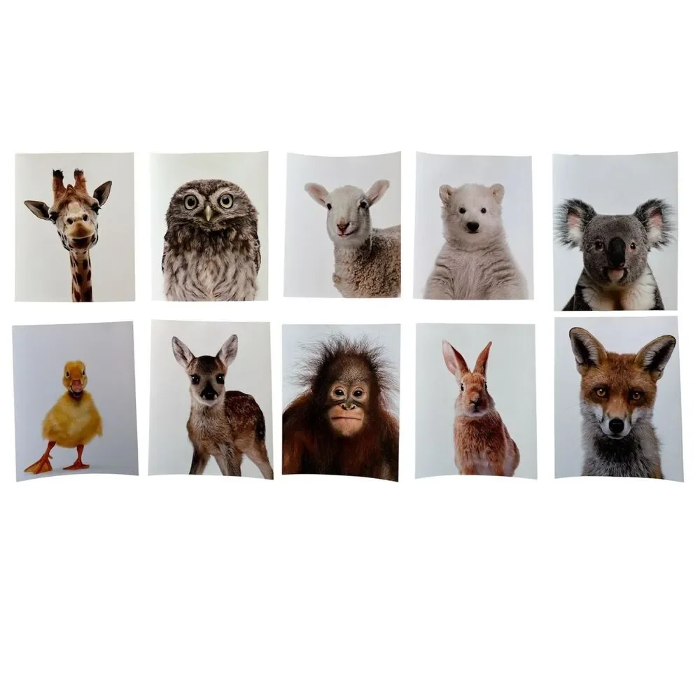 Nursery Wall Art Baby Animal Photography Woodland Zoo Farm Set of 10, 8x10 Inch